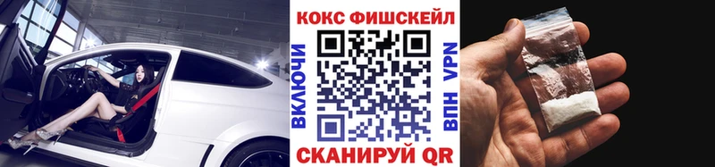 Cocaine Fish Scale  ОМГ ОМГ маркетплейс  Ставрополь 