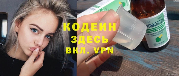 скорость Гусев
